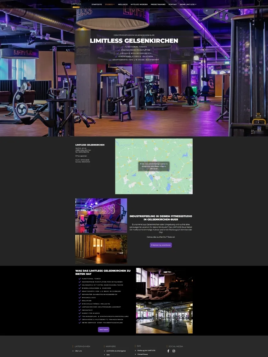 Alte Website von Limitless Lifestyle
